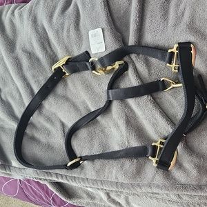 Black horse halter